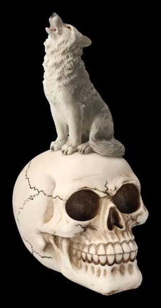 Skull with Grey Wolf
