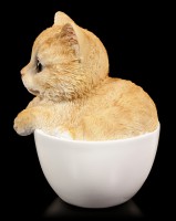 Katzen Figur - Gelbes Kätzchen in Tasse