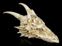 Wall Plaque - Dragon Skull with Ornaments