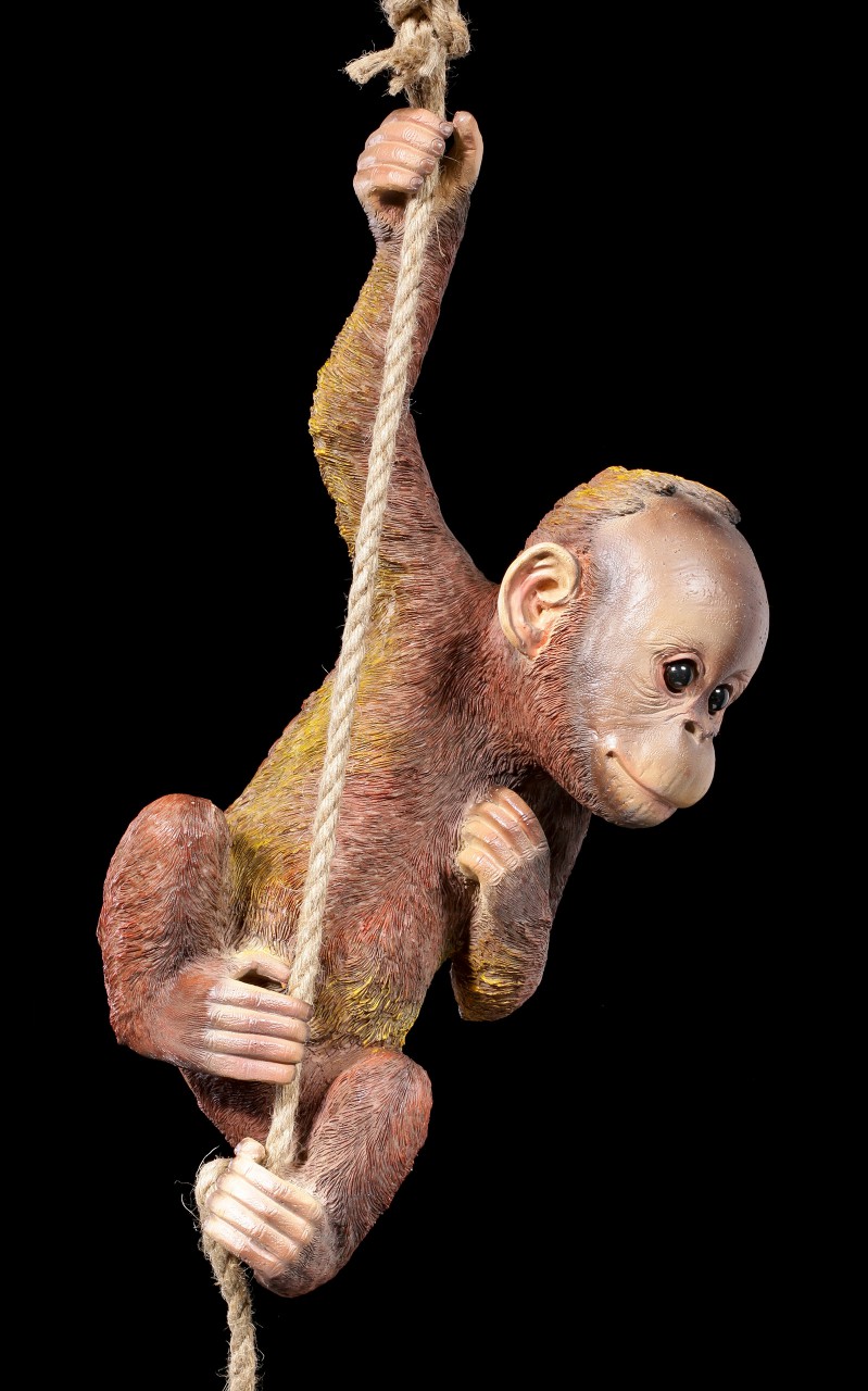 Garden Figurine - Baby Orang-Utan on Rope
