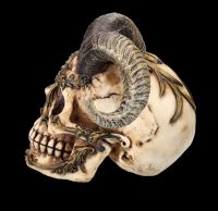 Skull Figurine with Horns - Diablo Skull