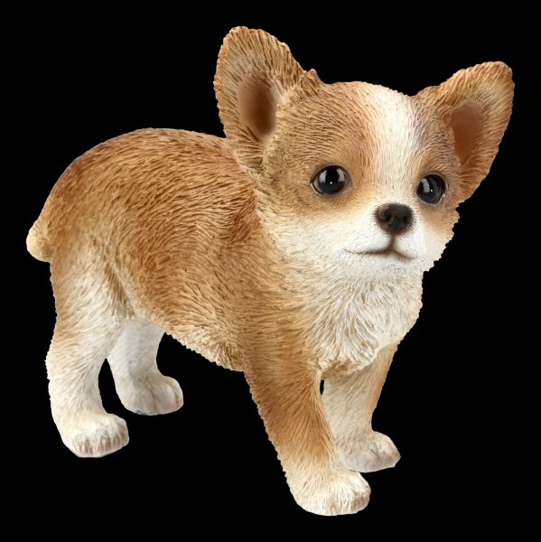 Dog Figurine - Chihuahua Puppy