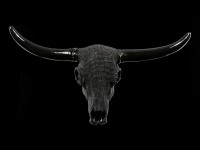 Wall Plaque Bull Skull - Black Nubby