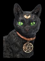 Mystic Cat Figurine with Magic Symbols