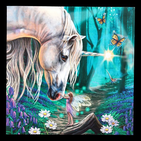 Medium Canvas - Fairy Whispers with LED