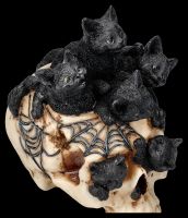 Totenkopf mit Katzenbabys - Cranial Litter