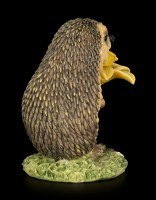 Funny Hedgehog Figurine with Daffodil - Congratulations