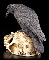 Raven Figurine on Skull