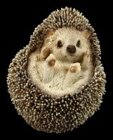 Small Hedgehog Figurine - Balled up on Back