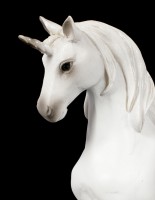 White Unicorn Figurine on Meadow