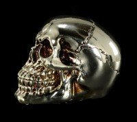 Skull - silver colored