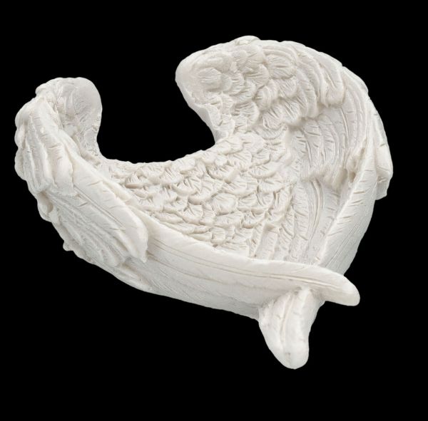 Dish - White Angel Wings