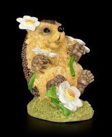 Funny Hedgehog Figurine with Daisies - Flowerspell