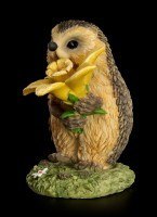 Funny Hedgehog Figurine with Daffodil - Congratulations