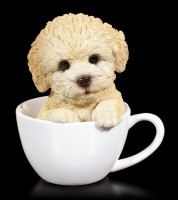 Dog in Cup - Poodle Puppy