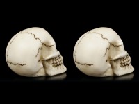 Human Skulls - Set of 2