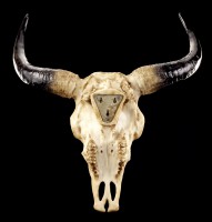 Wall Plaque - Tattooed Bison Skull - First Nation