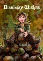 Fantasy Birthday Card - Acorn Pixie