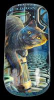 Glasses Case Cat - The Rusty Cauldron by Lisa Parker