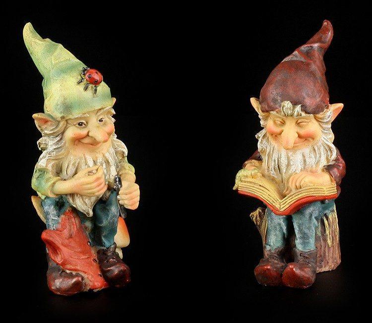 Garden Gnomes with Book and Shirt