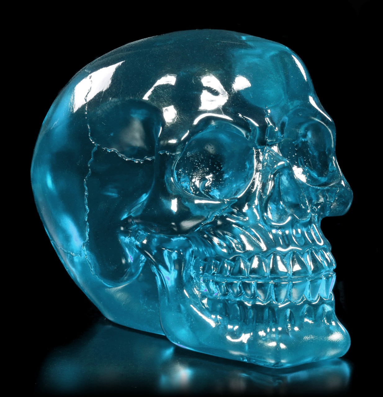Translucent Skull teal - Dragon Blood Skull