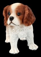Dog Figurine - King-Charles-Spaniel Puppy
