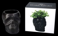 Plant Pot - Black Skull