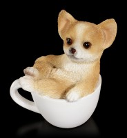 Dog in Cup mini - Chihuahua Puppy