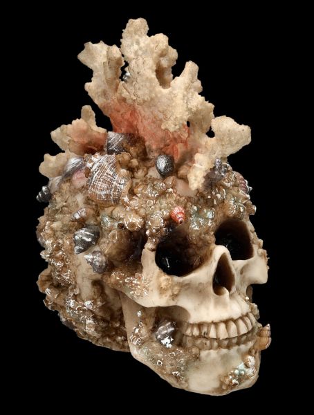 Totenkopf Figur mit Korallen bewachsen