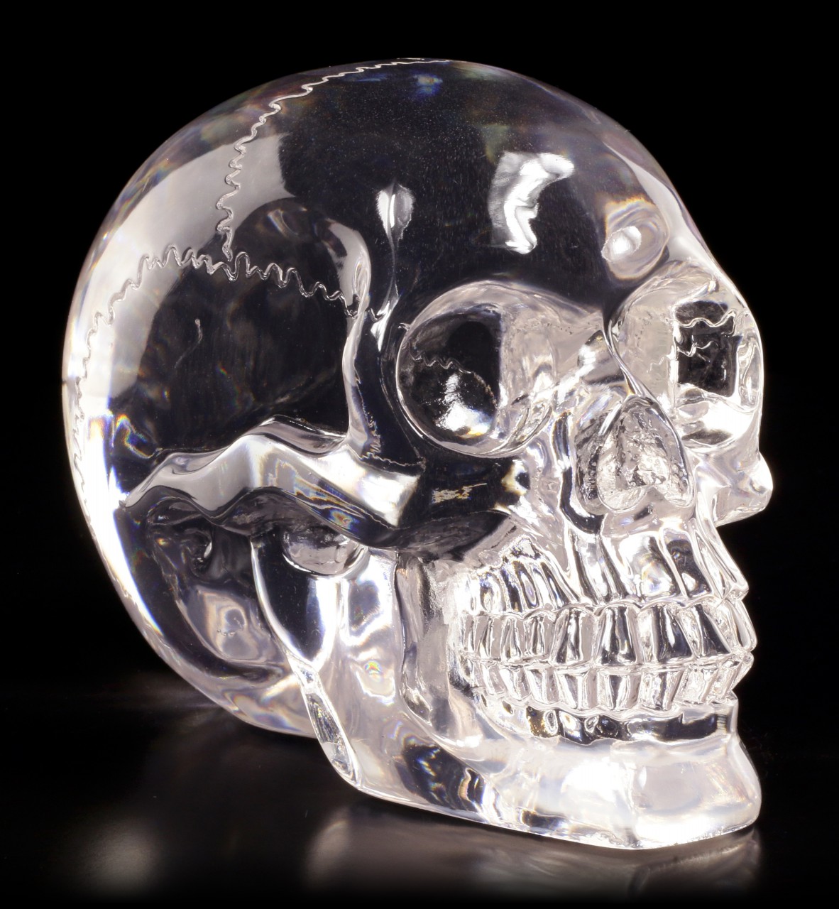 Translucent Skull - Neutral