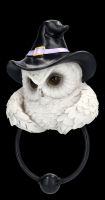 Door Knocker - Owl with Witch Hat