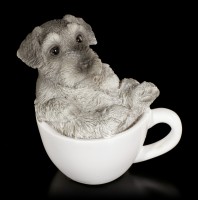 Dog in Cup mini - Schnauzer Puppy