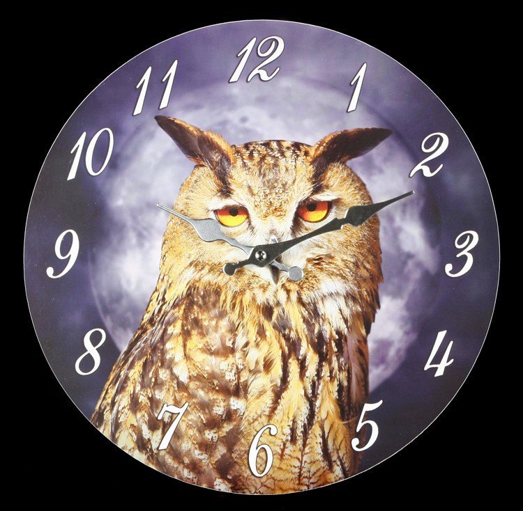 Clock - Wise Owl