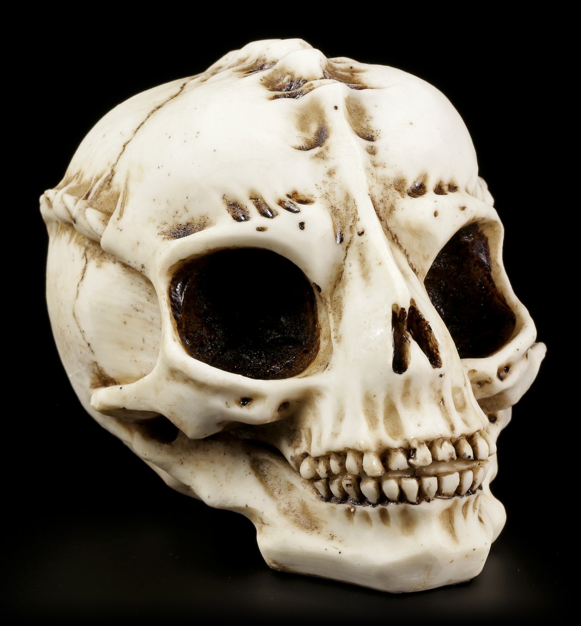 Alien Skull - The Visitor - Bone color