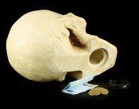Human Skull Savings Box