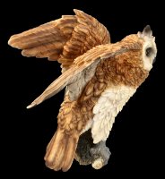 Wall Plaque - Long-Eared Owl sitting on Perch