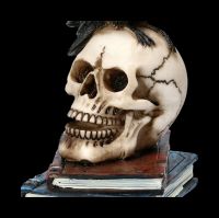 Raven Figurine on Skull - Raven's Spell