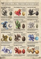 Greeting Card - Age Of Dragons - Wyrmling & Egg Identification Chart