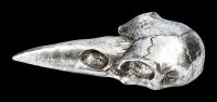 Hand Mirror - Raven Skull Antique Silver