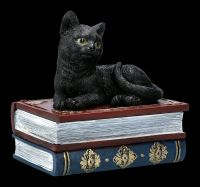 Schatulle - Katzen Figur auf magischen Büchern
