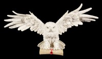 Wall Plaque White Owl - The Emissary