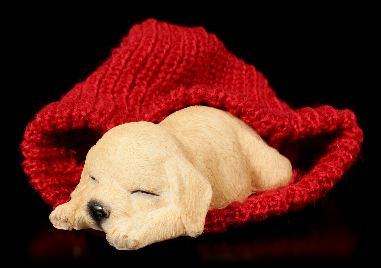 Dog Figurine asleep wrapped in red bobble Cap