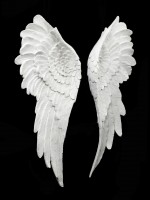 Wall Ornament - Angel Wings with Glitter