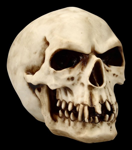 Orc Skull - Collectible