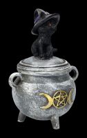 Box Witch Cat - Kitty's Brew