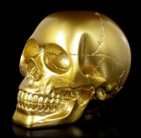 Skull - golden
