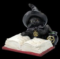 Witches Cat Figurine - Familiars Brew