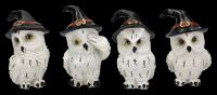 Owl Set - 12 White Owls with Wizard Hat