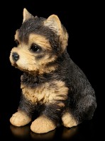 Dog Puppy Figurine - Yorkshire Terrier