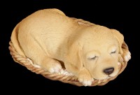 Hund in Körbchen Figur - Labrador